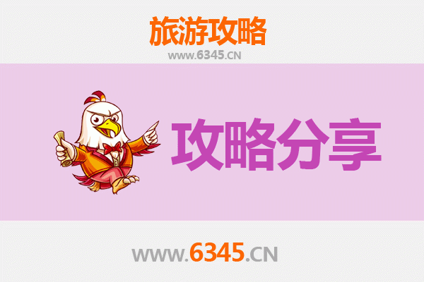 深圳福田至湄洲岛旅游攻略：跟团还是自由行？资深博主深度解析