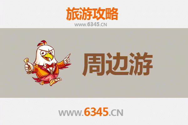 深圳福田周边游全攻略：都市绿洲与人文风情体验