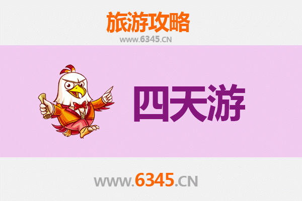 深圳福田四天三夜深度游攻略：都市繁华与文化探索