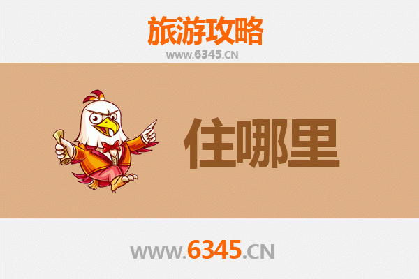 深圳福田区旅游民宿全攻略：奢华与性价比的完美选择